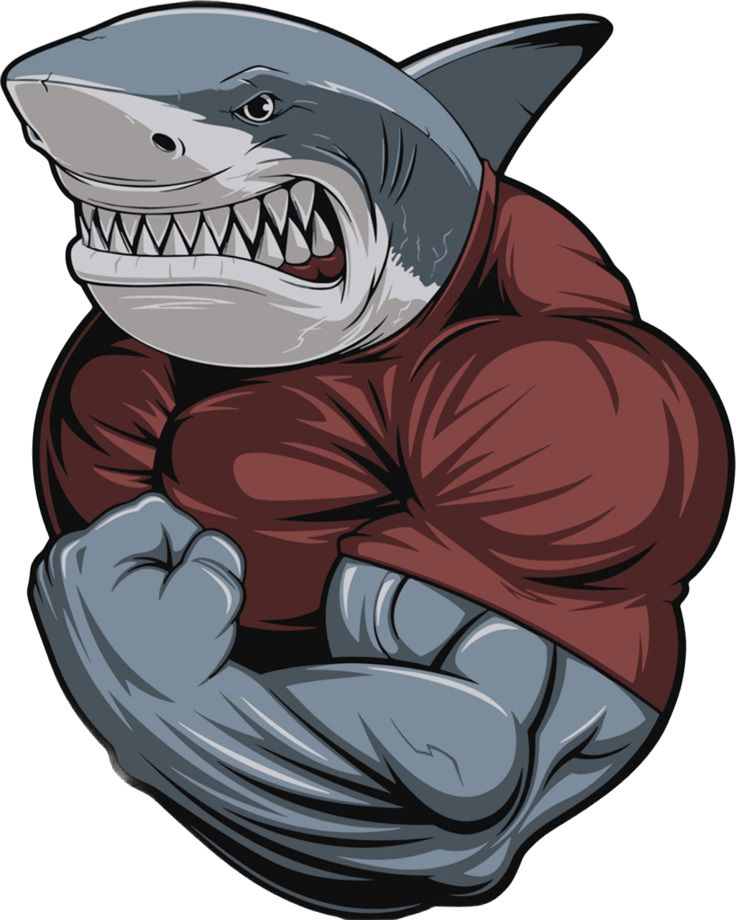 Главное изображение